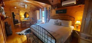 Gunsmoke Cozy Cabin with tons of privacy, dogs ok! - Ellijay - 6