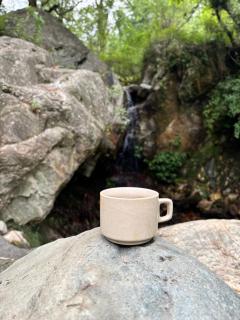 The Cozy Cabin, Jibhi - 9