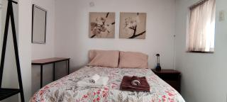 Cozy Apartment in Sucre - Sucre - 0