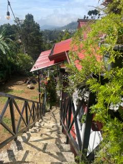 Redwood Inn - Nuwara Eliya - 5