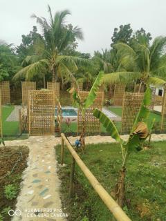 Jungle - 4