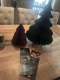 Modern mountain apartmen Ski in and out - 9