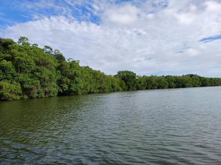 Yellowi Home Stay - 6