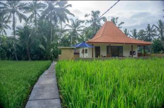 Uma rerama - Ubud - 3