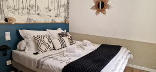 Ma pierre à l'édifice, Face à la Cité vue sublime, studio avec terrasse - 3