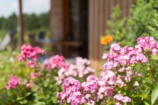 Chalets, Ferienhäuser mit Sauna am Ferienhof Schiegl in Alleinlage - Brennberg - 4