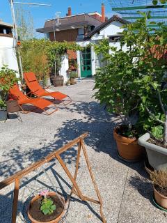 The Liberty Terrace - Udine - 9