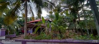 Vatsalya Homestay Kumbhashi - Kōtatattu - 7