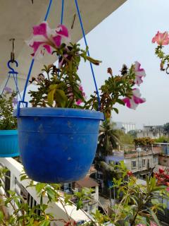 City Nest Studio - Agartala - 1