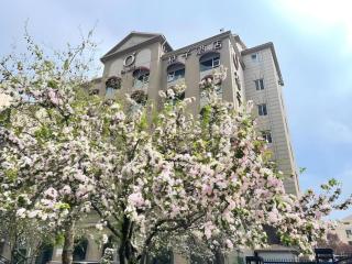 Orange Hotel Select Qingdao Wusi Square - Qingdao - 3