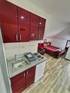 Vila Aleksandra 2 Studio 13 - Soko Banja - 5