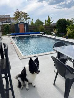Chambre avec vue sur le marais et la piscine - Yves - 9