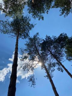 Markowa Przystań - - 3