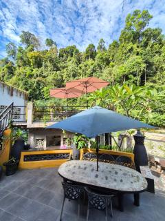 Jungle Inn Bukit lawang - Bukit Lawang - 7