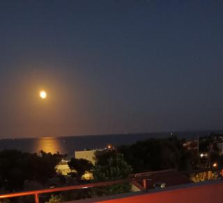 Salty Sea Breeze - 8