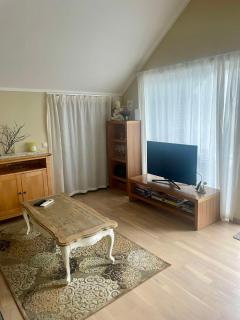Sea Side house (70m2) Lejas Ziediņi - Plieņciems - 8