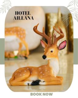 Ailana Hotel - Akaba - 6