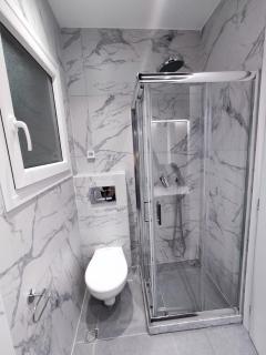 Elegant and spacious penthouse - 3