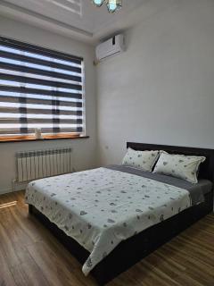 well apartment - Samarcanda - 9