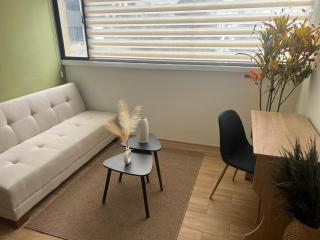 Modern Swedish-Style Flat - Quito - 5
