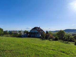 Villa Izabella Private - Badacsonytördemic - 1
