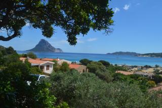 Appartamento Corbezzolo - Porto Taverna - 1