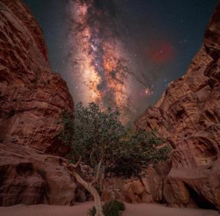 Wadirum sunset camp - 2