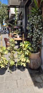 Maze Apartments - Perfectly located brand new flats - Tel Aviv - 9