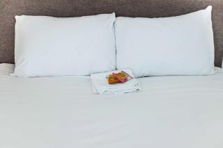 Peaceful Filton retreat with garden - 7