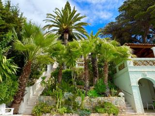 Somptuous exotic villa in Cannes - Cannes - 5