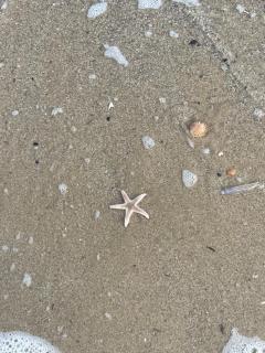 Maison Lagune bleu - 2