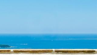 Somptuous exotic villa in Cannes - Cannes - 2