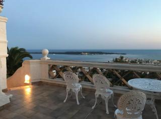 Somptuous exotic villa in Cannes - Cannes - 6