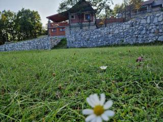 Mountain Village House - 4