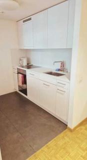 City Center Apartments in the Heart of Zurich Berta - Zurigo - 3