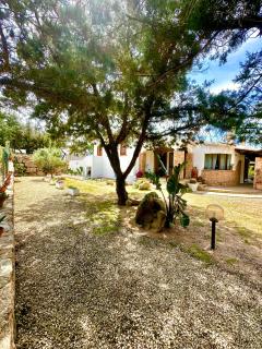 Villa Mameli b&b - Rena Majore - 7