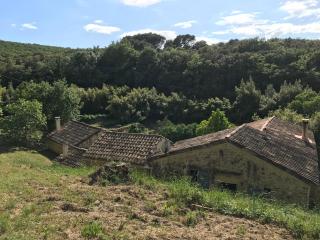 au milieu des bois - Saint-Pons-la-Calm - 2