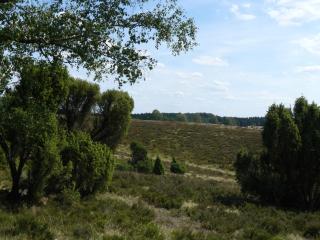 Holiday home in Wietzendorf with a view of the countryside - Wietzendorf - 6