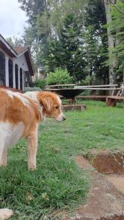 Indovu Wellness Retreat - 4