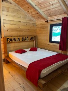 Parla Dağ Evi - Çamlıhemşin - 4
