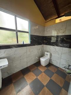 Grevillea retreat - 4