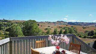 Cozy FarmStay with Spa - Pokeno - 8