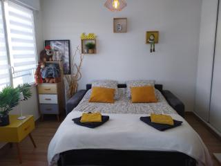 Beau T4 de 95 m2 avec terrasse sur Anglet - Anglet - 9