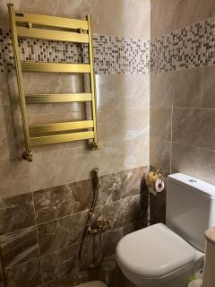 Luxurious Canadian Apartment - 2