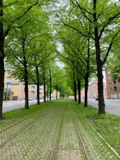 Valoisa ja täysin remontoitu huoneisto - Helsinki - 8