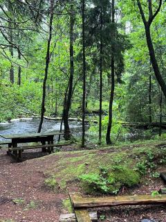 Lantgård i Torskog - 7