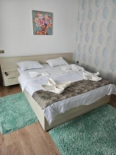 CORY'S HOUSE - Sibiu - 8
