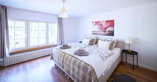Stilvolle Apartments mit Kamin - Schlossblick und großer Terrasse 2-4 Zimmer 50-140qm - nahe A1 und Schloss Burg - Köln - Solingen - 7