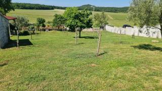 Comfort apartment with VINEYARD view - 5
