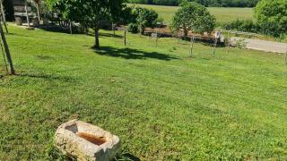 Comfort apartment with VINEYARD view - 7